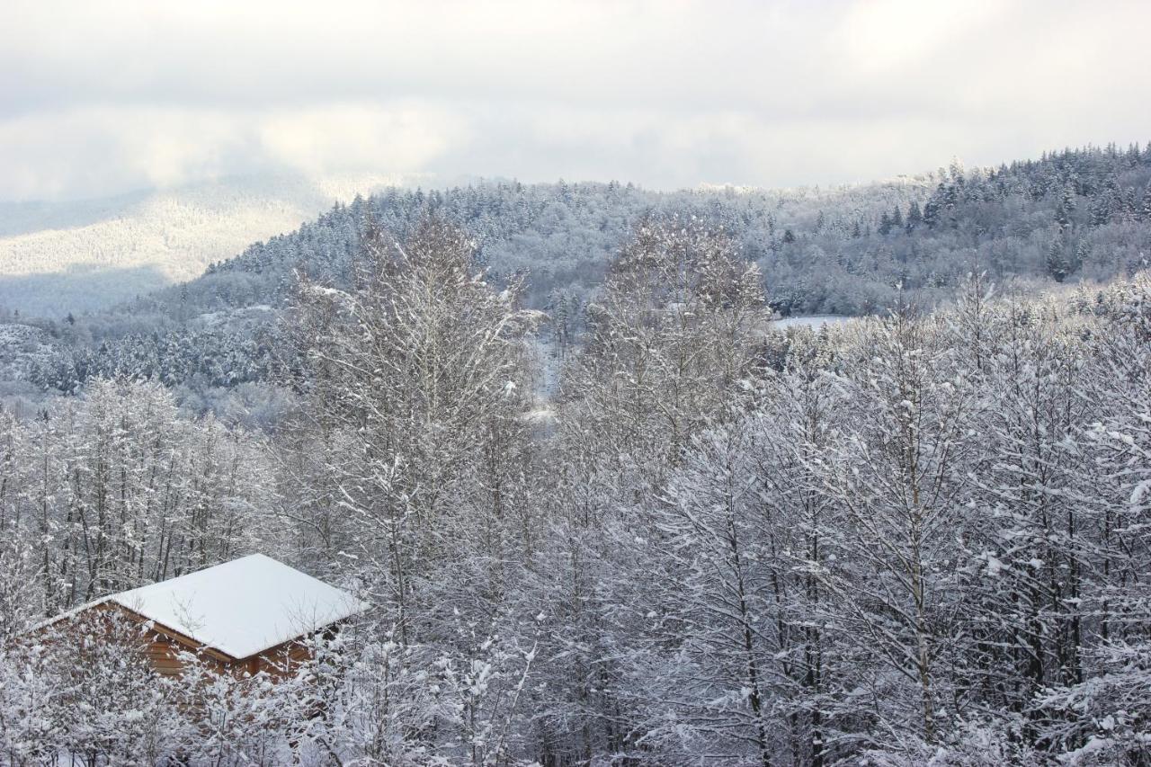 Domaine De Ribeaugoutte Villa Saint-Nabord Екстериор снимка